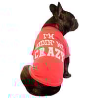 Dog Accessories - Apparel